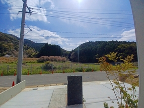 拡大表示
